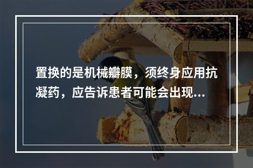 置换的是机械瓣膜，须终身应用抗凝药，应告诉患者可能会出现的并