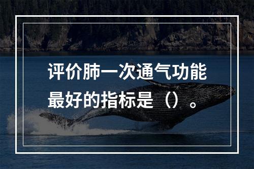 评价肺一次通气功能最好的指标是（）。