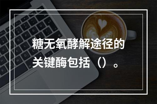 糖无氧酵解途径的关键酶包括（）。