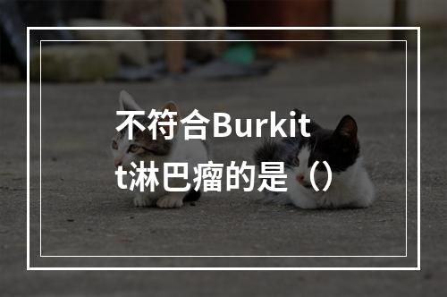 不符合Burkitt淋巴瘤的是（）