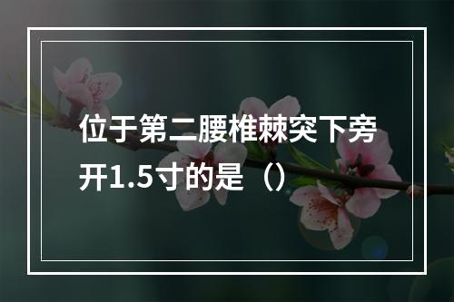 位于第二腰椎棘突下旁开1.5寸的是（）