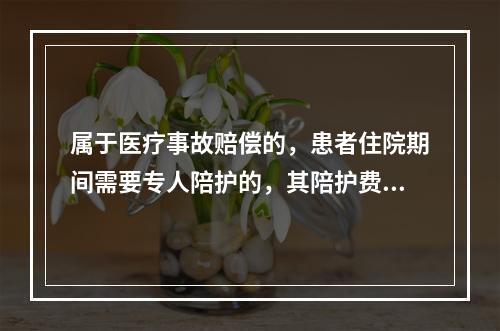 属于医疗事故赔偿的，患者住院期间需要专人陪护的，其陪护费按照