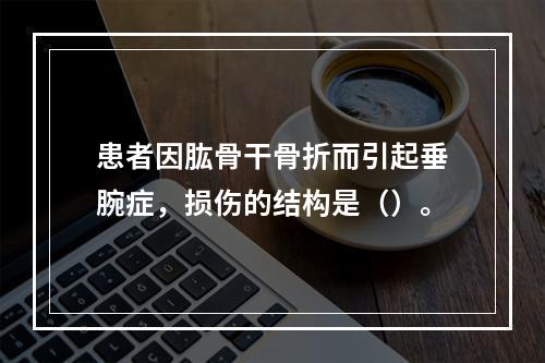 患者因肱骨干骨折而引起垂腕症，损伤的结构是（）。