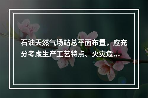 石油天然气场站总平面布置，应充分考虑生产工艺特点、火灾危险性