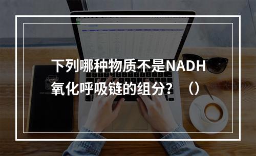 下列哪种物质不是NADH氧化呼吸链的组分？（）