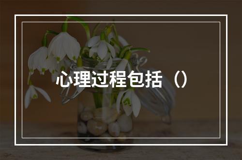 心理过程包括（）