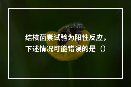 结核菌素试验为阳性反应，下述情况可能错误的是（）