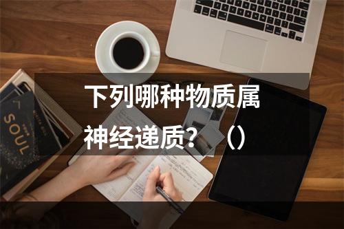 下列哪种物质属神经递质？（）