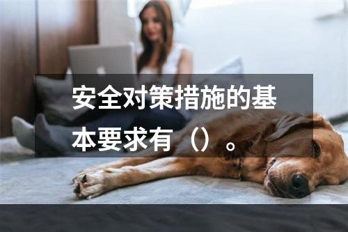 安全对策措施的基本要求有（）。