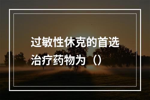 过敏性休克的首选治疗药物为（）