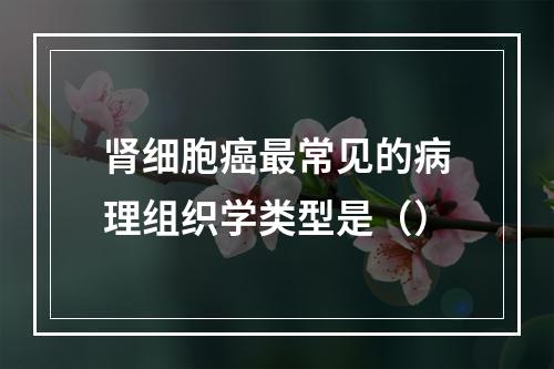 肾细胞癌最常见的病理组织学类型是（）