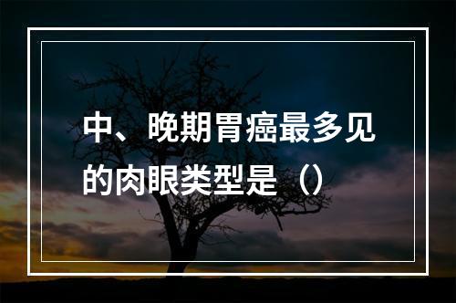 中、晚期胃癌最多见的肉眼类型是（）