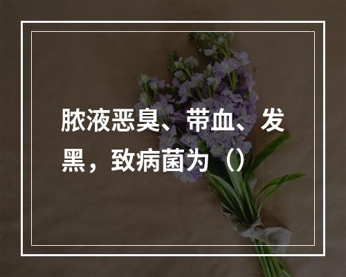 脓液恶臭、带血、发黑，致病菌为（）