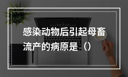 感染动物后引起母畜流产的病原是（）