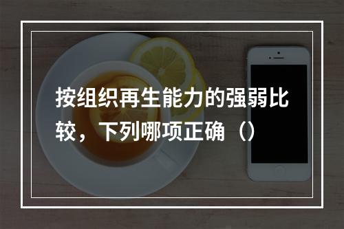 按组织再生能力的强弱比较，下列哪项正确（）