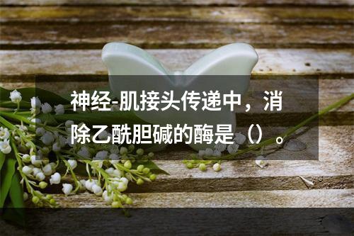 神经-肌接头传递中，消除乙酰胆碱的酶是（）。