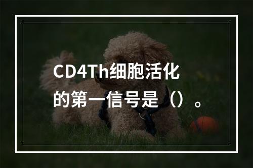 CD4Th细胞活化的第一信号是（）。