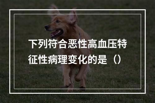 下列符合恶性高血压特征性病理变化的是（）