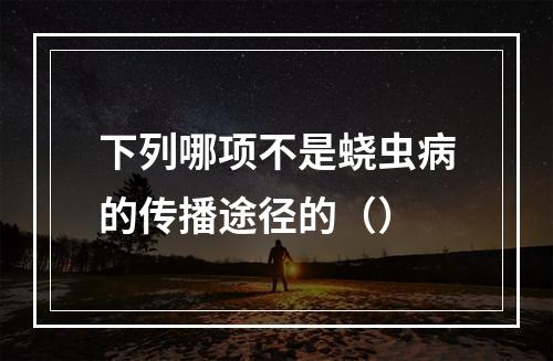 下列哪项不是蛲虫病的传播途径的（）