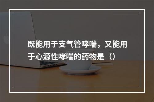 既能用于支气管哮喘，又能用于心源性哮喘的药物是（）