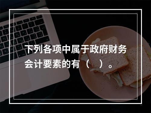 下列各项中属于政府财务会计要素的有（　）。