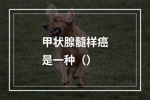 甲状腺髓样癌是一种（）