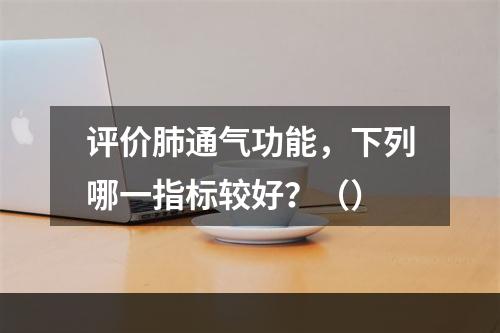 评价肺通气功能，下列哪一指标较好？（）