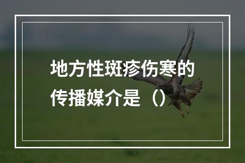 地方性斑疹伤寒的传播媒介是（）