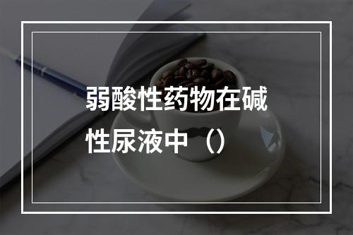 弱酸性药物在碱性尿液中（）