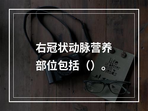 右冠状动脉营养部位包括（）。