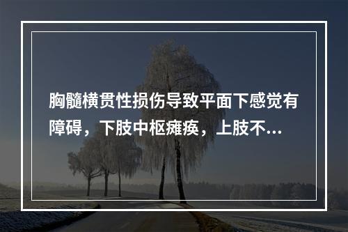 胸髓横贯性损伤导致平面下感觉有障碍，下肢中枢瘫痪，上肢不受影