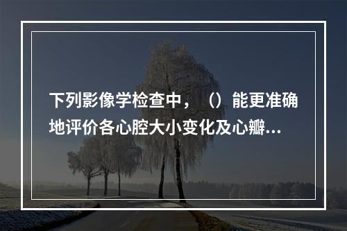 下列影像学检查中，（）能更准确地评价各心腔大小变化及心瓣膜结