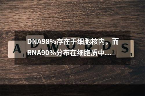 DNA98%存在于细胞核内，而RNA90%分布在细胞质中。（