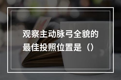 观察主动脉弓全貌的最佳投照位置是（）