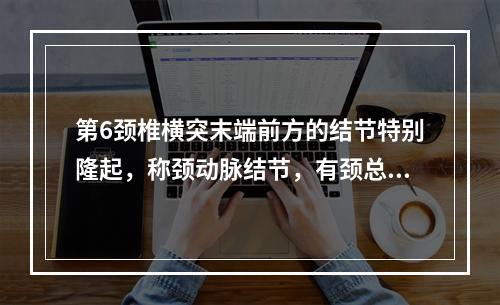 第6颈椎横突末端前方的结节特别隆起，称颈动脉结节，有颈总动脉