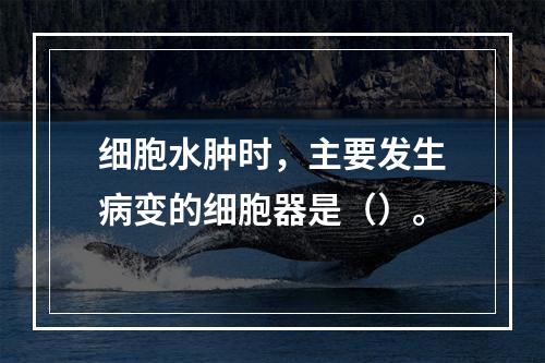 细胞水肿时，主要发生病变的细胞器是（）。