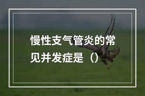 慢性支气管炎的常见并发症是（）