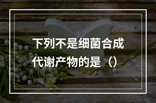 下列不是细菌合成代谢产物的是（）