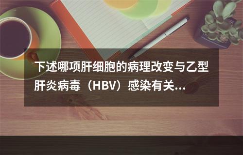 下述哪项肝细胞的病理改变与乙型肝炎病毒（HBV）感染有关？（