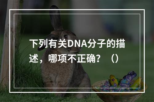 下列有关DNA分子的描述，哪项不正确？（）