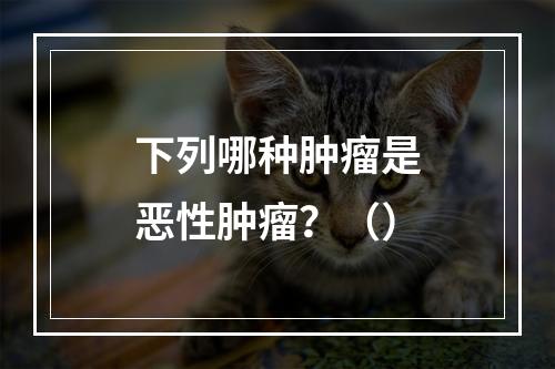 下列哪种肿瘤是恶性肿瘤？（）