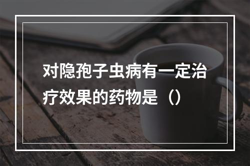 对隐孢子虫病有一定治疗效果的药物是（）