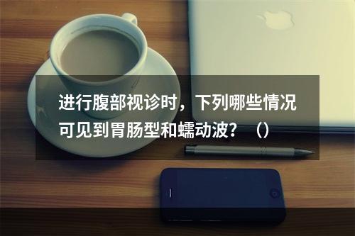 进行腹部视诊时，下列哪些情况可见到胃肠型和蠕动波？（）