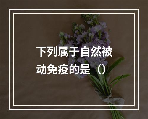 下列属于自然被动免疫的是（）