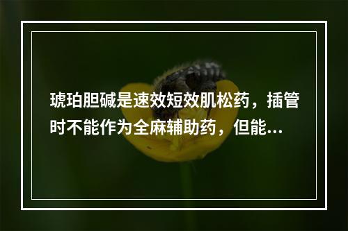 琥珀胆碱是速效短效肌松药，插管时不能作为全麻辅助药，但能用于