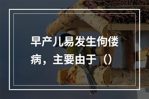 早产儿易发生佝偻病，主要由于（）