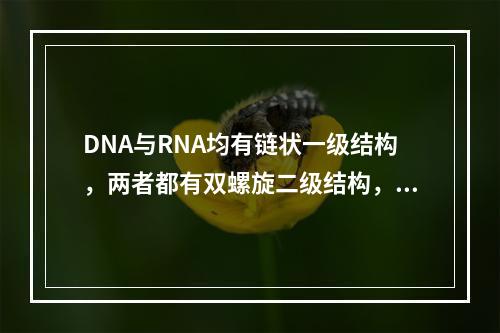 DNA与RNA均有链状一级结构，两者都有双螺旋二级结构，超螺