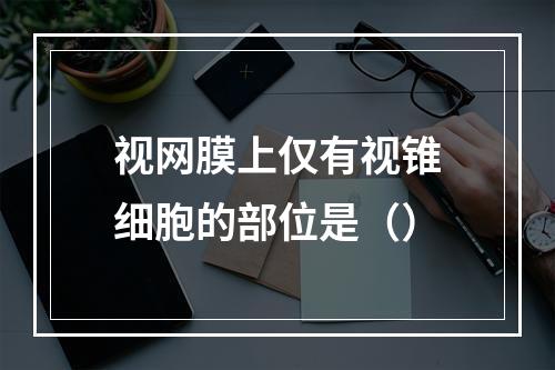 视网膜上仅有视锥细胞的部位是（）