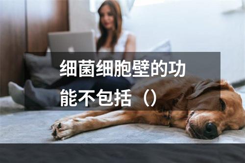 细菌细胞壁的功能不包括（）