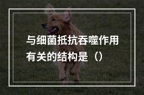 与细菌抵抗吞噬作用有关的结构是（）